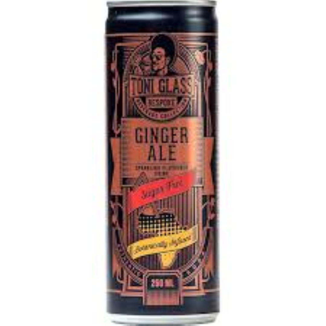 TONI GLASS MIXER GINGER ALE 250ML